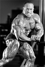 Dave Palumbo